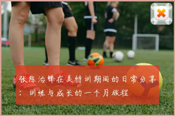 张陈治锋在美特训期间的日常分享:训练与成长的一个月旅程