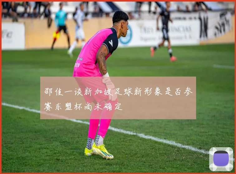 邵佳一谈新加坡足球新形象是否参赛东盟杯尚未确定