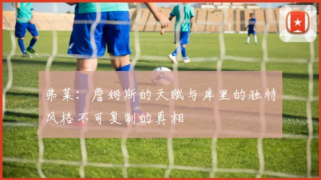 弗莱：詹姆斯的天赋与库里的独特风格不可复制的真相